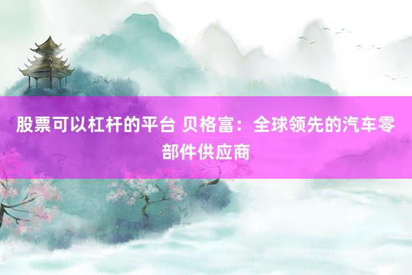 股票可以杠杆的平台 贝格富：全球领先的汽车零部件供应商