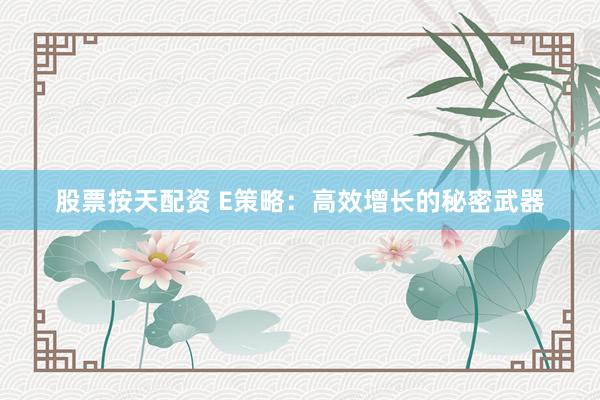 股票按天配资 E策略：高效增长的秘密武器