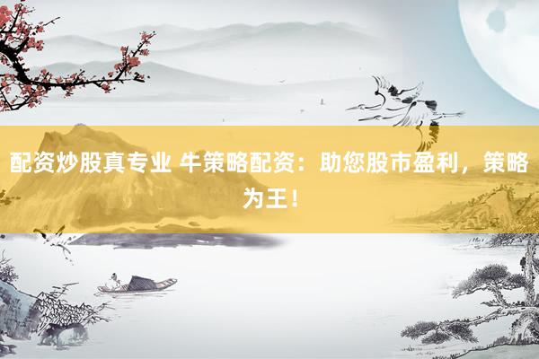 配资炒股真专业 牛策略配资：助您股市盈利，策略为王！