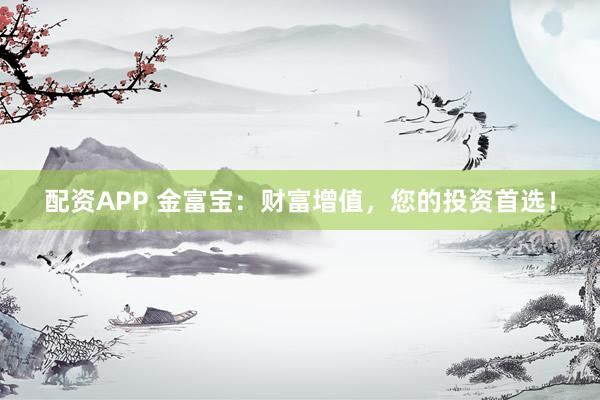 配资APP 金富宝：财富增值，您的投资首选！