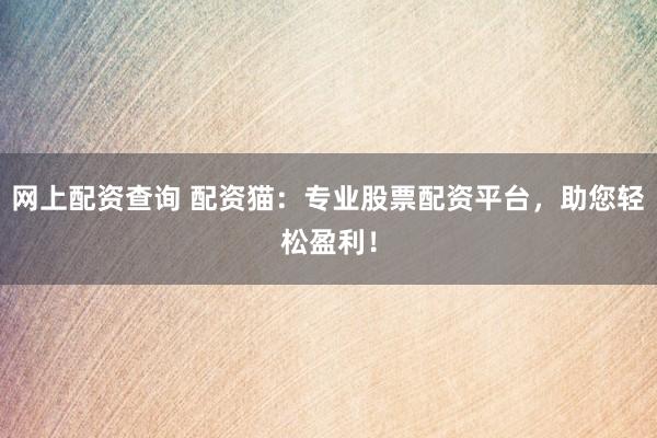 网上配资查询 配资猫：专业股票配资平台，助您轻松盈利！