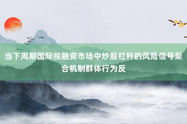 当下周期国际投融资市场中炒股杠杆的风险信号聚合机制群体行为反