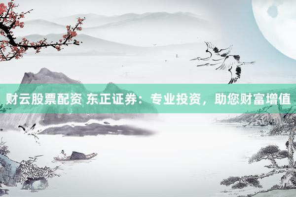 财云股票配资 东正证券：专业投资，助您财富增值