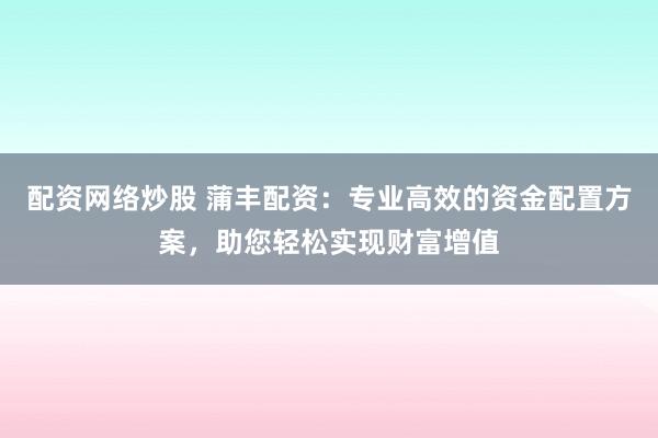 配资网络炒股 蒲丰配资：专业高效的资金配置方案，助您轻松实现财富增值