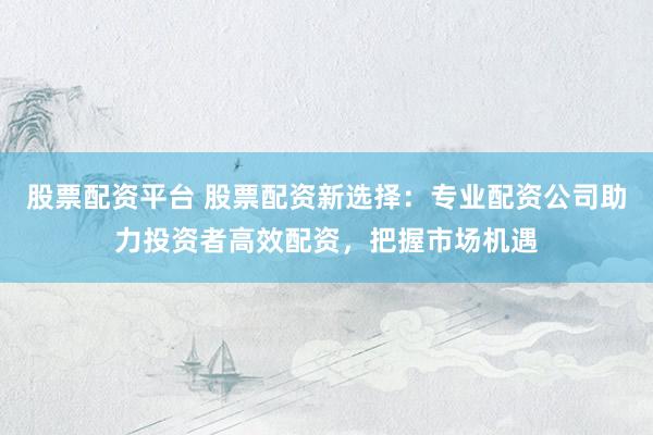 股票配资平台 股票配资新选择：专业配资公司助力投资者高效配资，把握市场机遇